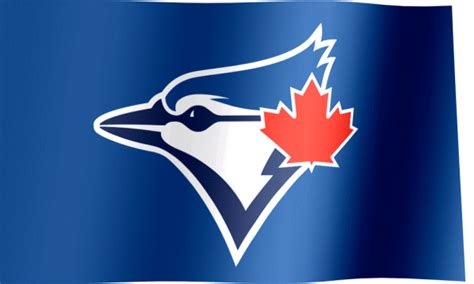 blue jays gif